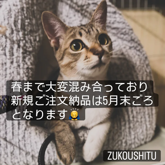 様々なジャンルのご注文をいただき誠にありがとうございます。ただ今例年よりも混み合っており、先にご予約注文された方の分より順次、納期4月〜5月末となっております。
新規ご注文のお客様にはお待たせする事となってしまい大変申し訳ございません。
なるべく早く納品できる様努めます。
何卒ご了承下さいます様お願い致します。

室長
#zukoushitu 
#ウェル猫
#看板猫